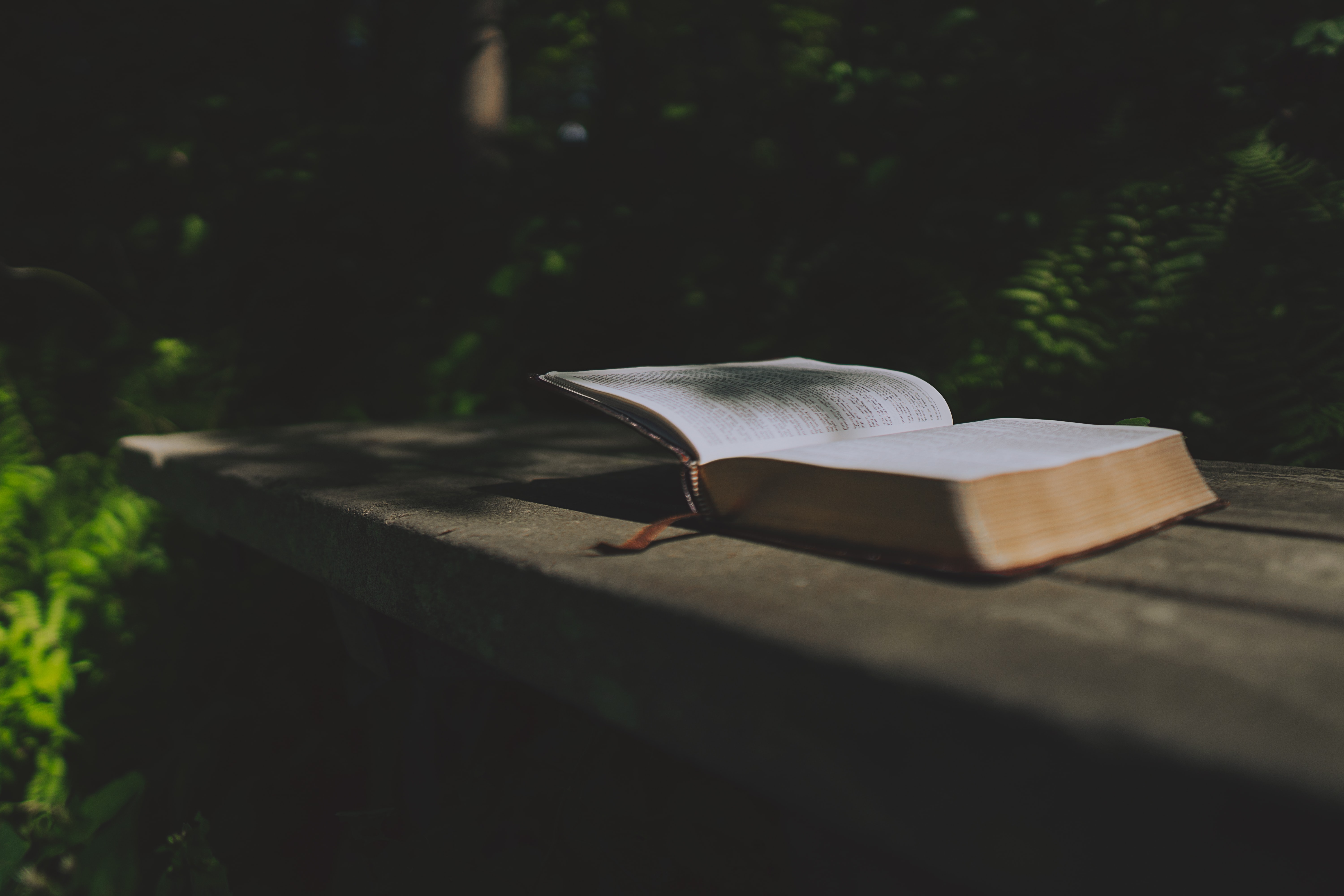 Book opened: Photo by Emmanuel Phaeton on Unsplash.